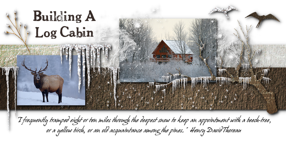 cabin plans michigan